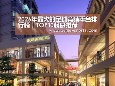 案例展示一(图1)